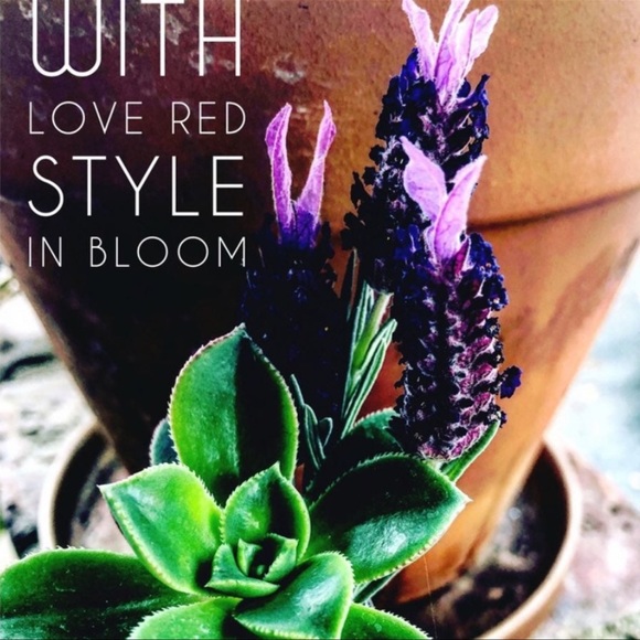 Handmade Tranquility Stone Amazonite Earrings With 925 Silver Plated Post - Picture 3 of 3